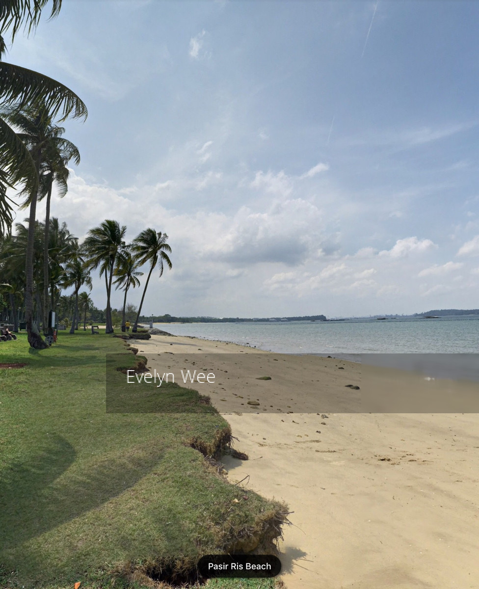 Pasir Ris Beach Park (D18), Semi-Detached #183044152